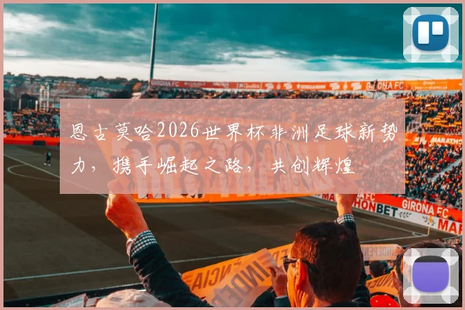 恩古莫哈2026世界杯非洲足球新势力，携手崛起之路，共创辉煌