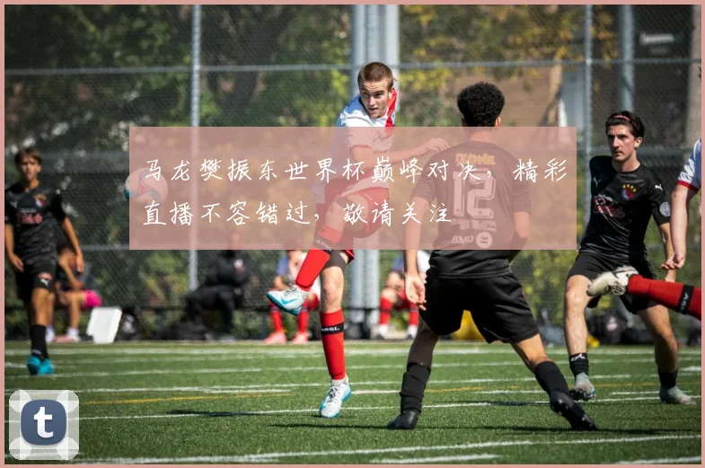 马龙樊振东世界杯巅峰对决，精彩直播不容错过，敬请关注