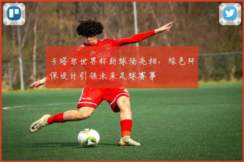 卡塔尔世界杯新球场亮相，绿色环保设计引领未来足球赛事