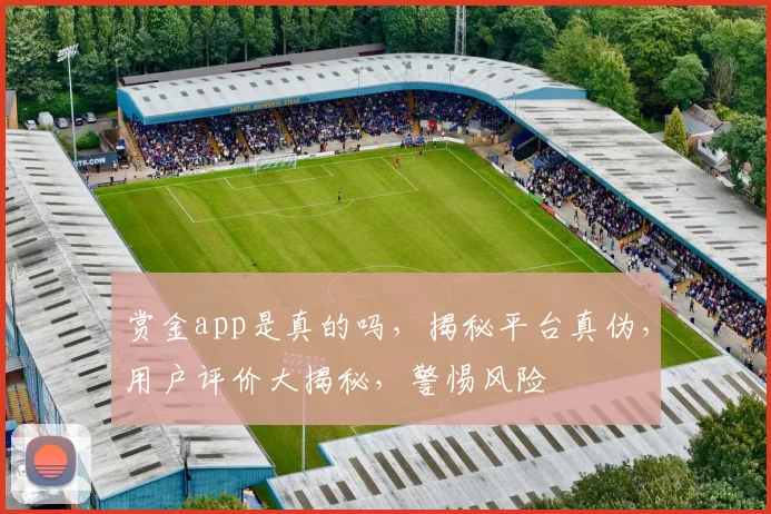 赏金app是真的吗，揭秘平台真伪，用户评价大揭秘，警惕风险