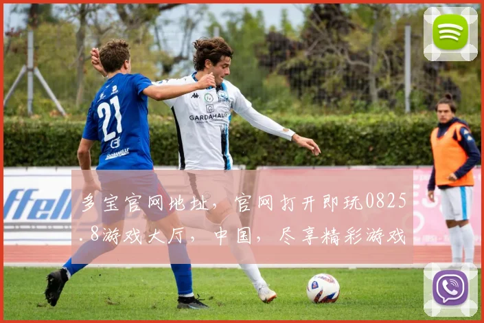 多宝官网地址，官网打开即玩0825.8游戏大厅，中国，尽享精彩游戏时光，一触即达