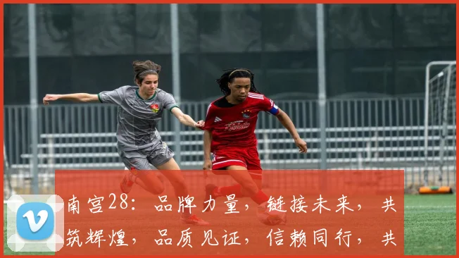南宫28：品牌力量，链接未来，共筑辉煌，品质见证，信赖同行，共赢市场。