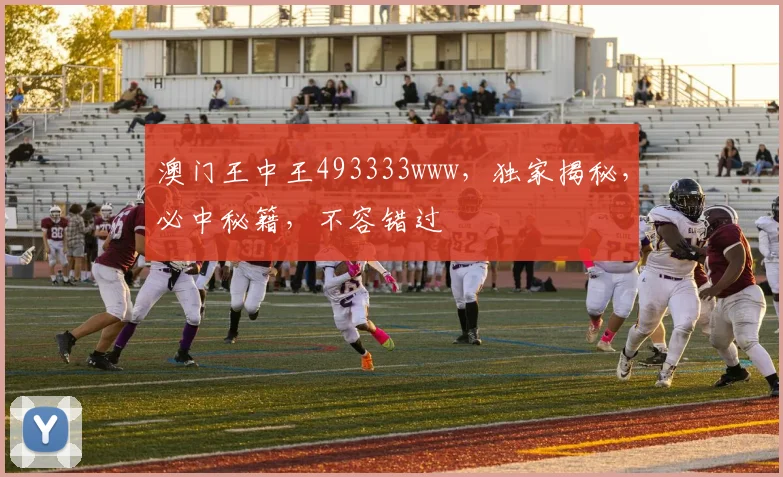 澳门王中王493333www，独家揭秘，必中秘籍，不容错过